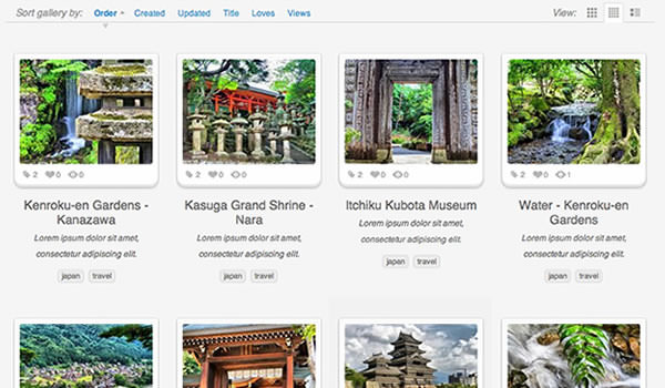 RokGallery(画廊系统)