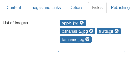 Joomla的15种字段类型