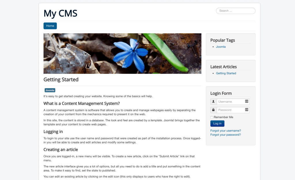 WordPress