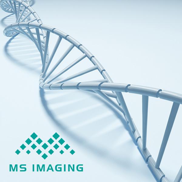 MS IMAGING